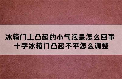 冰箱门上凸起的小气泡是怎么回事 十字冰箱门凸起不平怎么调整